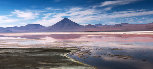 Colorada lagoon with flamingos on the plateau Altiplano, Eduardo Avaroa Andean Fauna National...