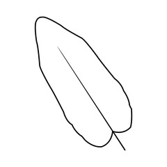 Tropical leaf icon over white background. vector illustration