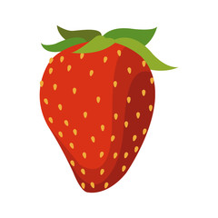 strawberry fruit icon over white background. colorful design. vector illustration