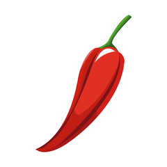 red chili icon over white background. colorful design. vector illustration