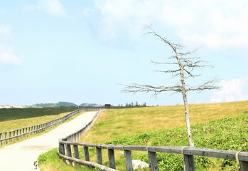 Located east of Matsumoto, this plateau is the largest and highest (2,000 meters) plateau in Japan. You can get information on nature and the plateau at Utsukushigahara Kogan.