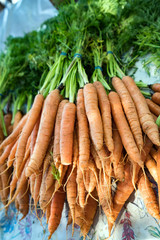 Local Carrots at a Farmers Market