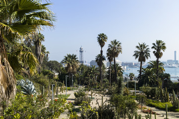 Historic funicular ropeway of Barcelona Spain seen from the botanic gardens of Joan Brossa.