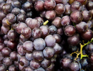 Group of fresh grape at a fruit store.