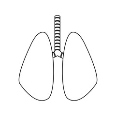 human lungs organ icon over white background. vector illustration