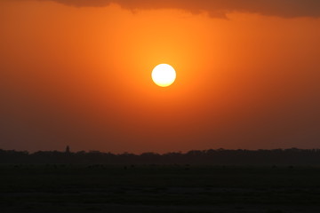 African Sunset