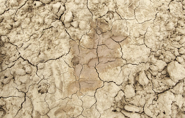 Dry and broken field