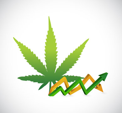 marijuana rocking profits business graph concept