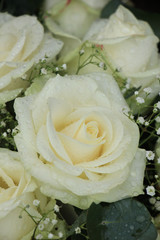 White wedding roses