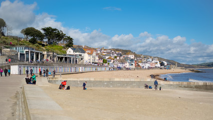 Fototapeta na wymiar View of the Beach at Lyme Regis