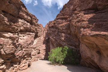 Amphitheater, Quebrada de las Conchas, Cafayate, Salta, Argentina