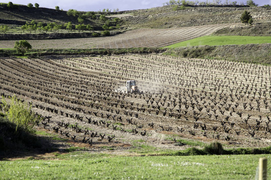 Tractor in vineyards