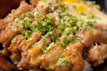 katsudon