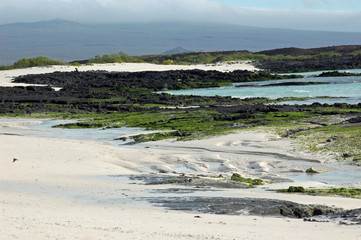 tidal pools at Cerro Brujo, on San Cristobal Island, Galapagos
