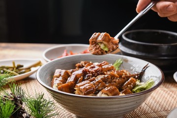 unagi donburi