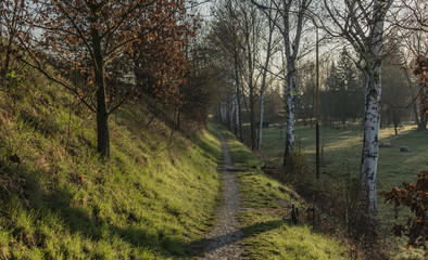 Sunrise near Bakov nad Jizerou town