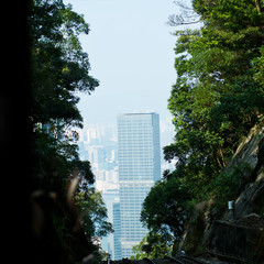 Obraz premium Hong Kong cityscape with group of tall buildings and trees.