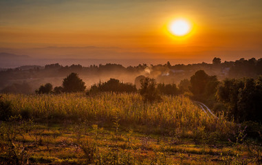 Obraz premium Country sunset