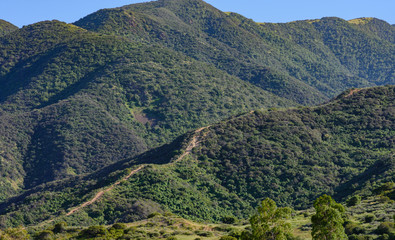 Mountain pass trail into the forest