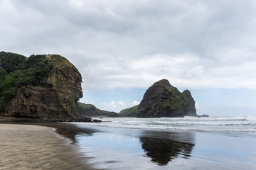 Piha Beach Auckland New Zealand
