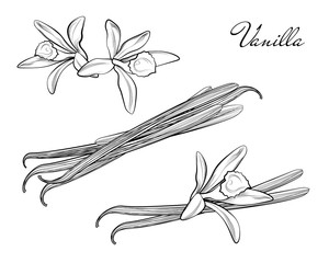 Black graduation cap, mortarboard and diploma scroll, made with gradient mesh. Education graduation