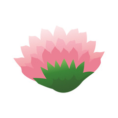 beautiful flower icon over white background. colorful design. vector illustration