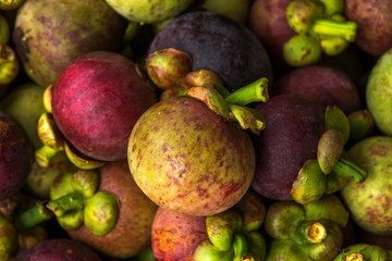 Mangosteen for export