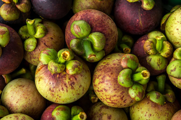 Mangosteen for export