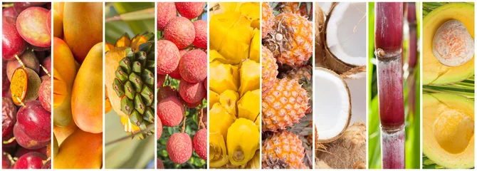 Wandaufkleber Collage aus tropischen Früchten © Unclesam