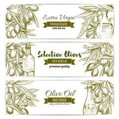 Olive oil sketch banner set with fruit and bottle