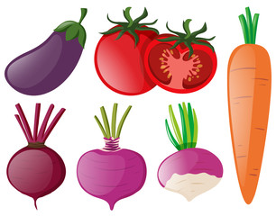 Different types of colorful vegetables