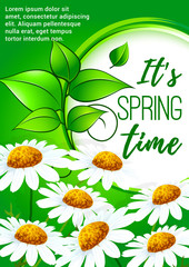 Spring poster design with daisy flowers