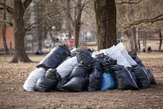 Stack Of Garbage Bags For Take Out.  Clean Up The City Park In The Spring And Autumn.