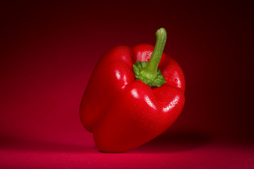 Paprika in spotlight