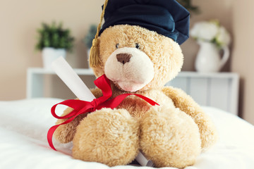 Teddy bear in graduation cap holding his diploma