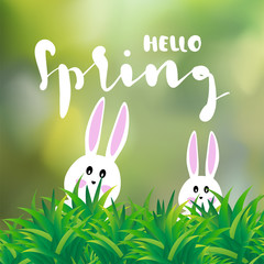 hello spring lettering with modern calligraphy on green forest background with bunny. Template for spring greeting card, banner and poster in vector illustration