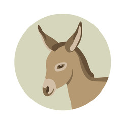 Fototapeta premium donkey young head face vector illustration style Flat