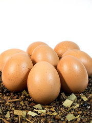 Eggs on small leaves and seed on white background