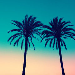 Silhouette of two palms on sunset background