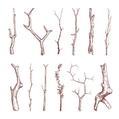 Hand drawn wood twigs, wooden sticks, tree branches vector rustic decoration elements