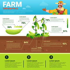 Farming Infographics Eco Friendly Organic Natural vegetable Growth Farm Production Banner With Copy Space Vector Illustration