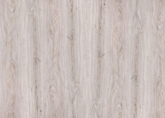 nature wood background