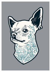 Tattooed Chihuahua