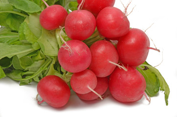 Radieschen