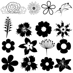 a set of flowers