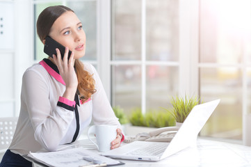 Portrait of a pleasant business woman with a laptop 