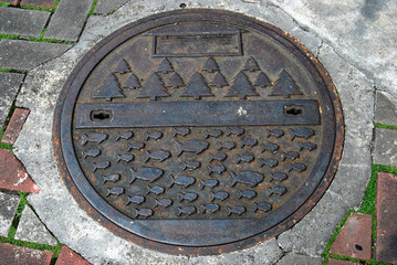 An old manhole on the pavement. There are tree and fish patterns on it.