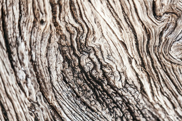 Beautiful abstract background, old rustic weathered wooden surface