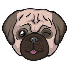 pug dog icon isolated on white background. Vector illustration