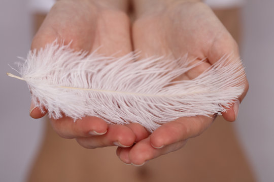 Woman Holding A White Feather Close Up. Tenderness Concept